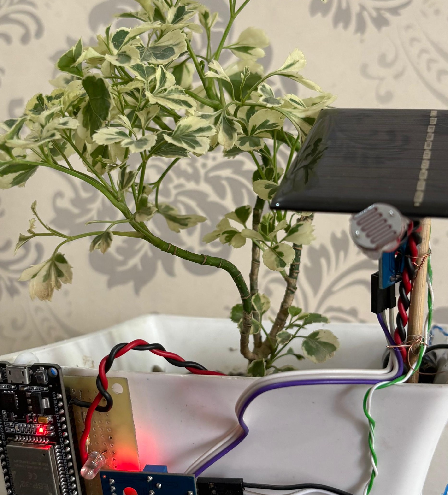 The IrriGreat smart controller and sensors connected to a healthy potted plant.